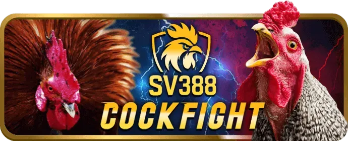 Hỗ trợ khách hàng Gem789 Login 24/7
